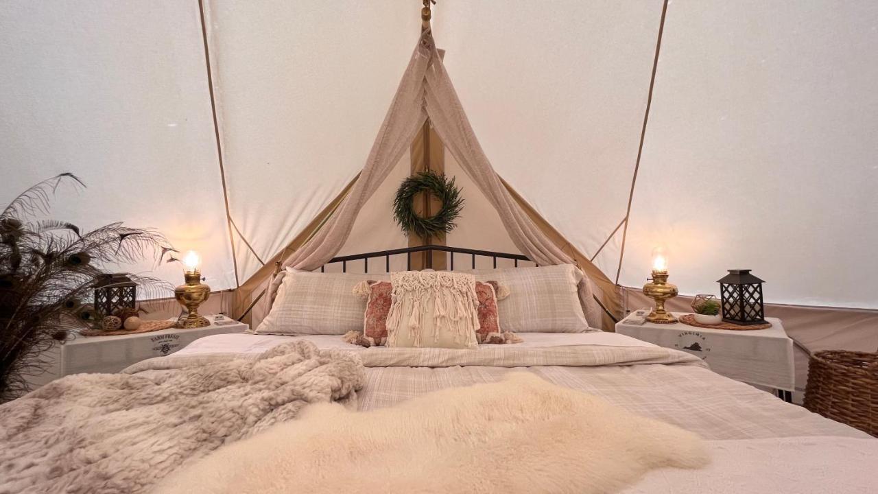Shenandoah Valley Glamping - Amazing Views - Farm Edinburg Exterior foto