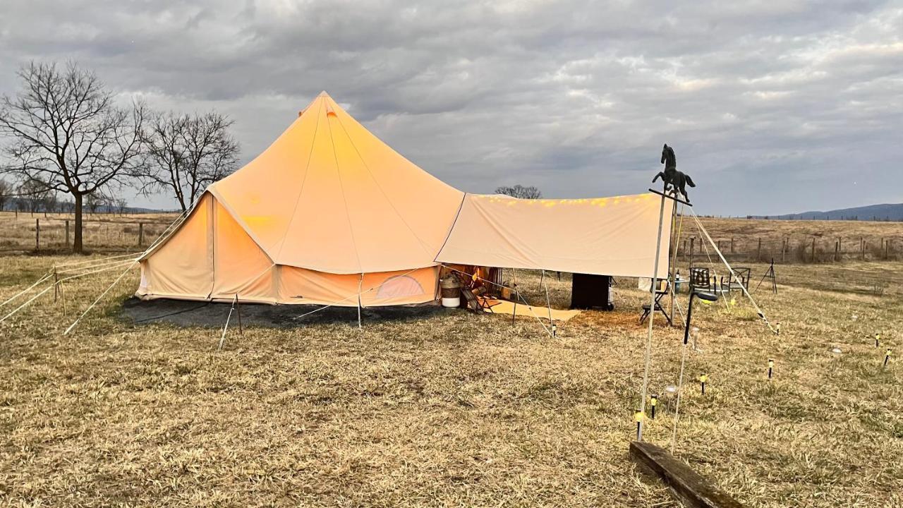 Shenandoah Valley Glamping - Amazing Views - Farm Edinburg Exterior foto