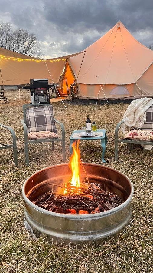 Shenandoah Valley Glamping - Amazing Views - Farm Edinburg Exterior foto